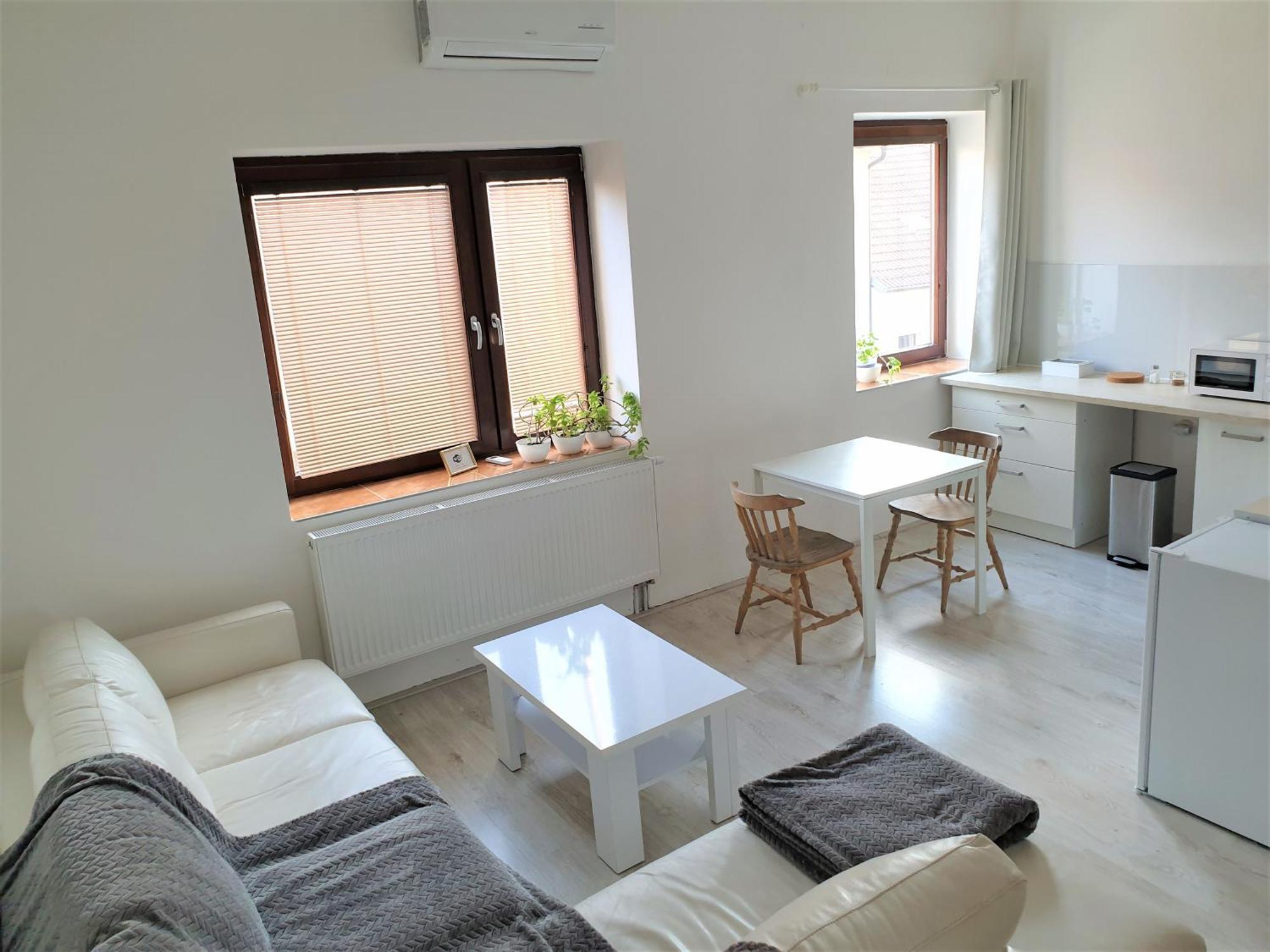 Brno Apartment Екстер'єр фото
